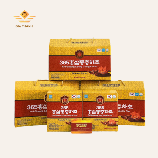 Nước Hồng Sâm Đông Trùng 365 - Hình ảnh 5